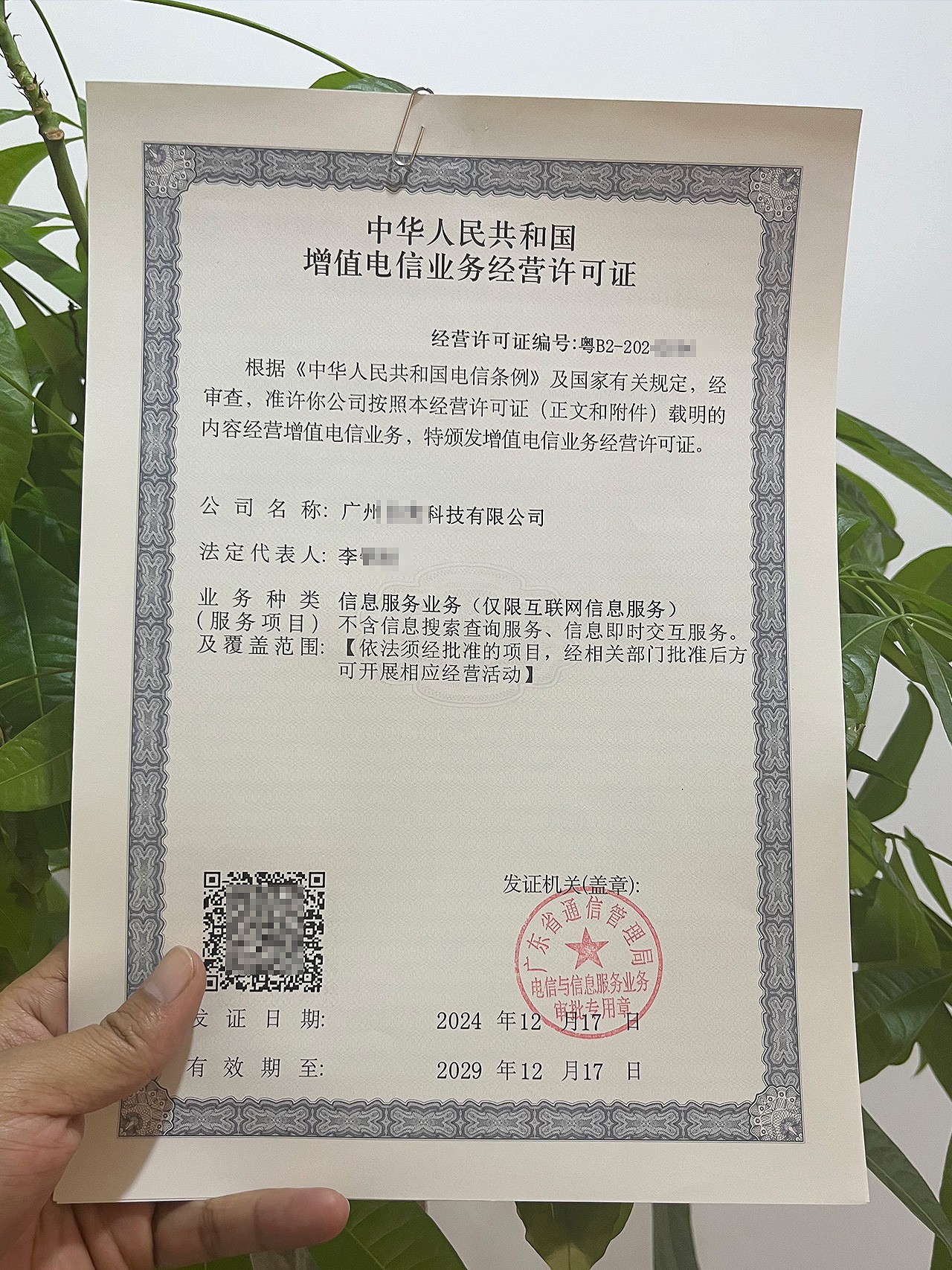 ICP增值电信业务许可证代办费用_第二类增值电信业务经营许可证申请流程_2025最新指南